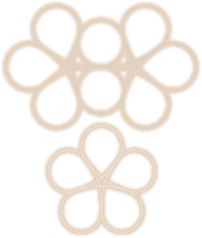 The Split Tortoiseshell